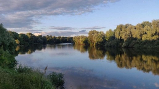 Оранжевый уровень погодной опасности объявлен в Брянской области из-за жары