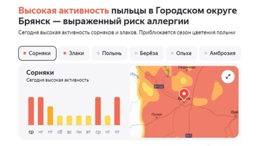 Брянских аллергиков атакует новая волна цветения