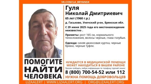 В Брянской области ищут пропавшего 65-летнего Николая Гулю