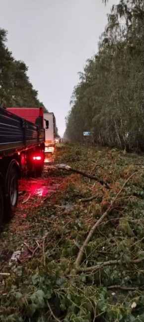 Ураганный ветер бушевал на юге Брянской области