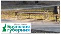 В Володарском районе Брянска приводят в порядок два двора