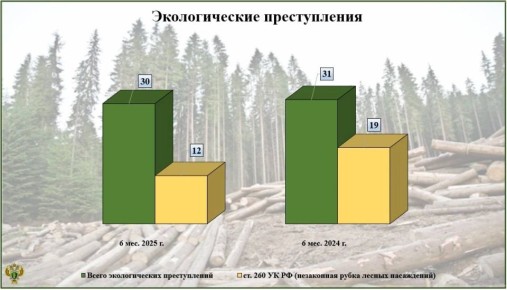 Прокуратурой области проанализированы статистические данные об экологических преступлениях в регионе за январь-июнь 2025 года