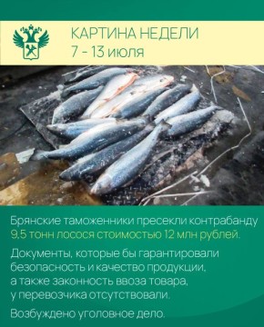 Картина недели. Работа таможенников в регионах: