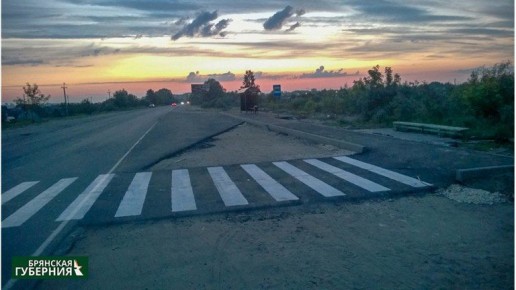 В Брянске объявили операцию «Пешеход»