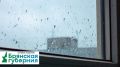 Брянцев предупреждают о граде и сильном ветре 17 июля