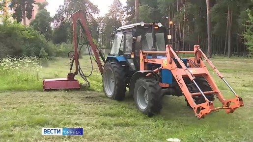Утренний выпуск программы &quot;Вести.Брянск&quot; с Натальей Львовой