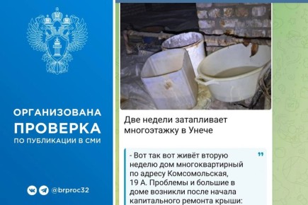        - - |  ,          19  .    ...