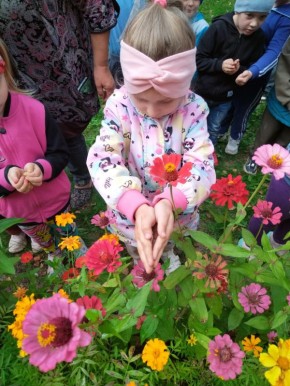 3  -      