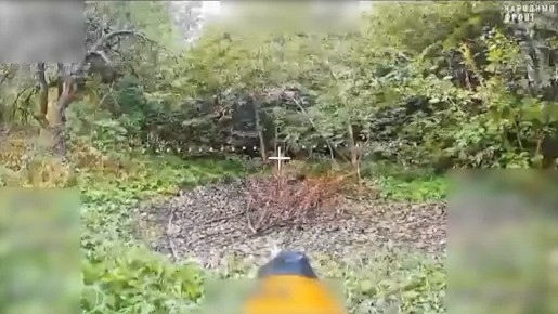  . 0:06 -  