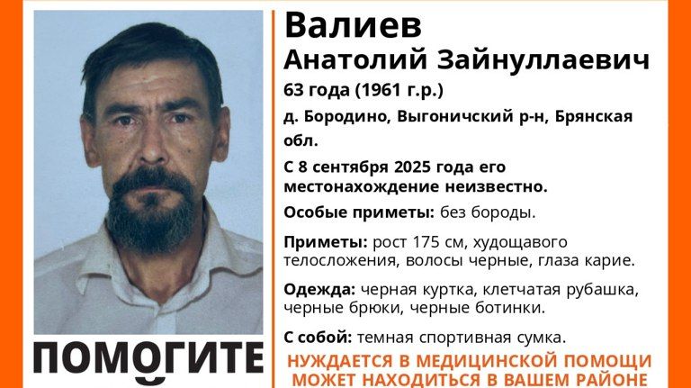 Пропавшего в Брянской области 63-летнего Анатолия Валиева нашли живым