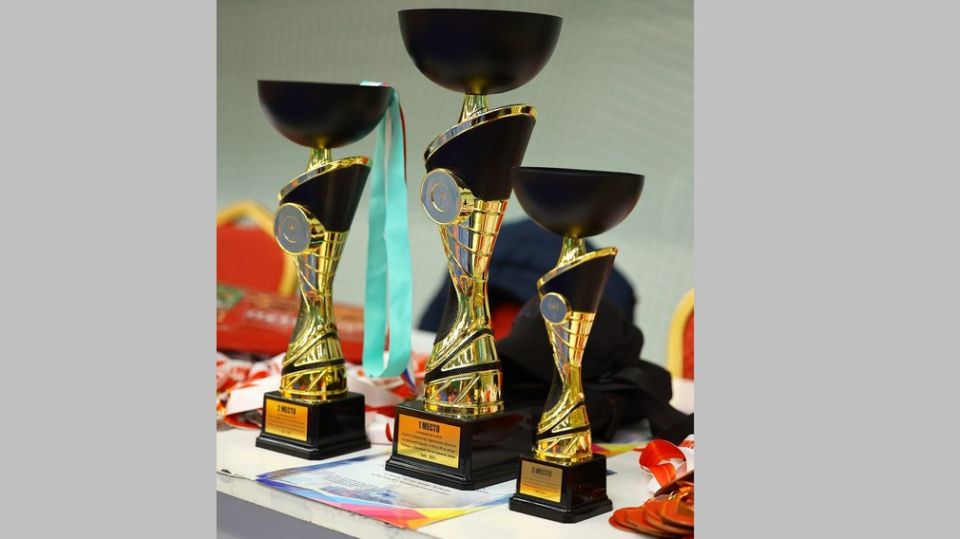 Брянские спортсмены стали победителями и призерами Кубка Губернатора Орловской области по вольной борьбе