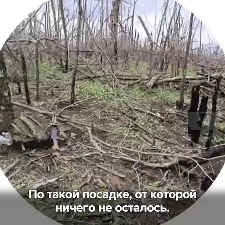  :         ,     