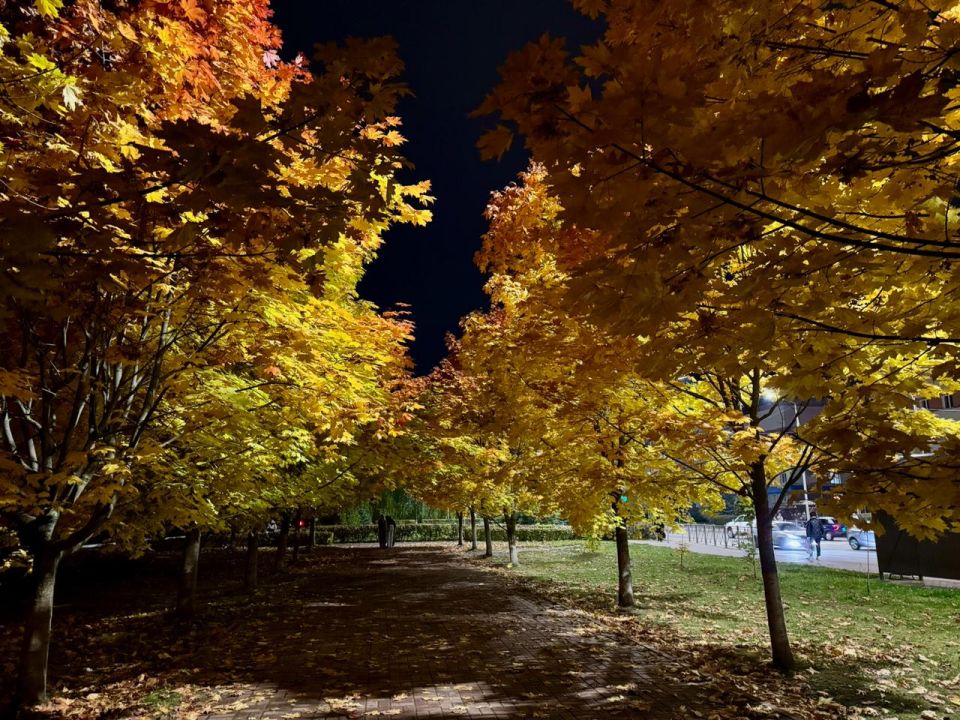 Осень освещает город лучше любых гирлянд