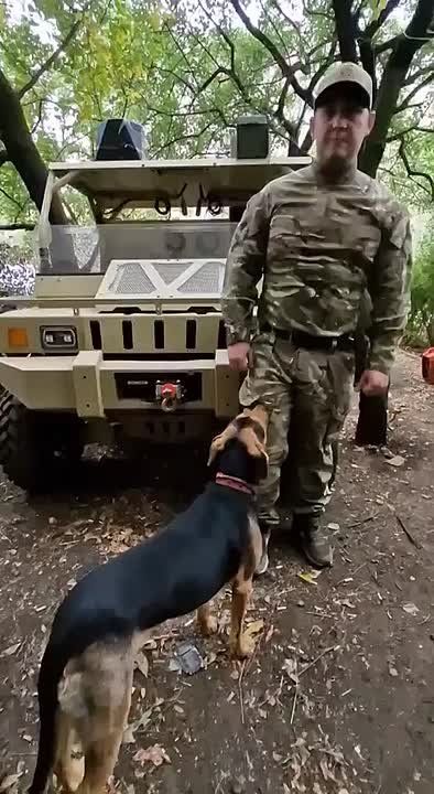  , ..         : -   33 