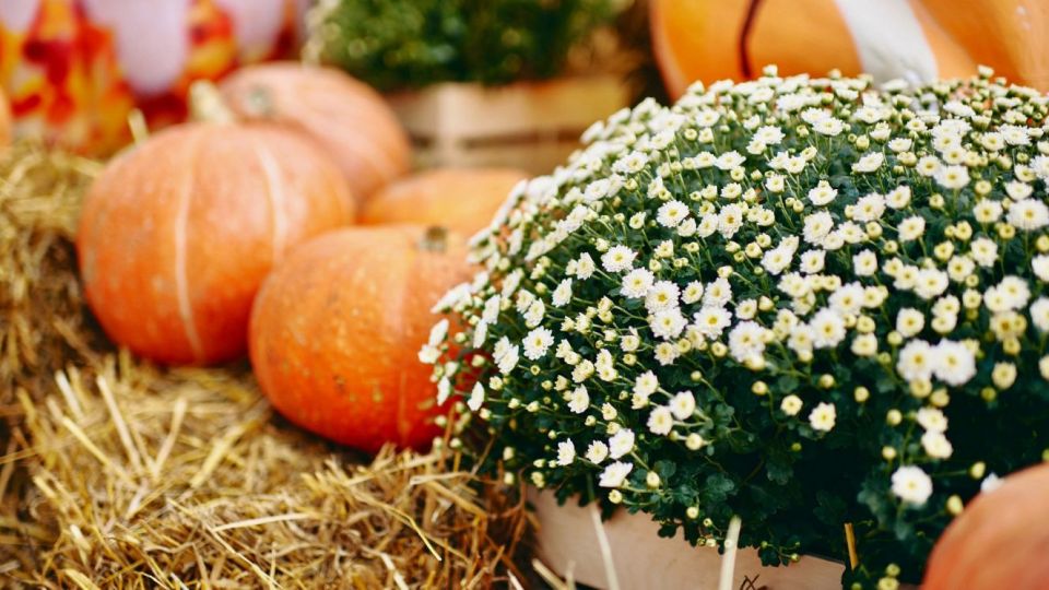    18     &quot; &quot;