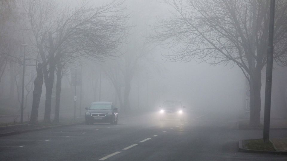 Желтый уровень опасности из-за тумана объявлен в Брянской области 16 октября