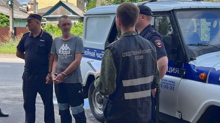 В Навле братоубийцу осудили на 10 лет