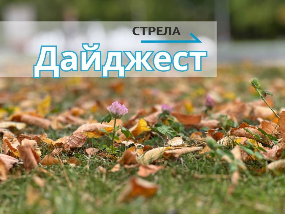 Дайджест за 17 октября. В Брянске прошла церемония вручения медалей «Отец солдата» -