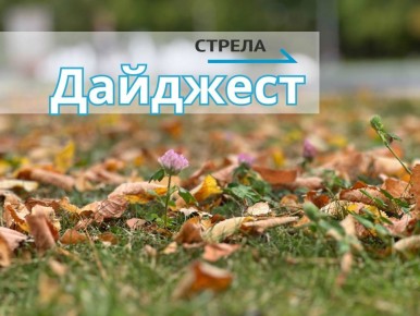   17 .         -
