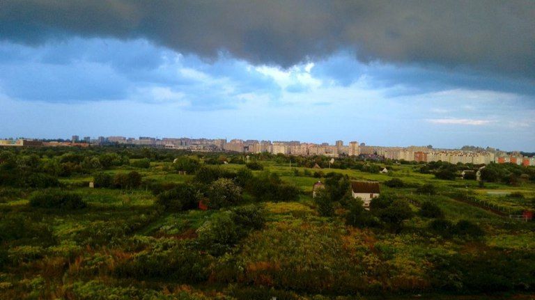 В Брянске за полгода 77 семьям выделили бесплатные земельные участки