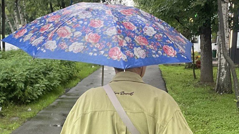 Брянцам 20 октября пообещали дожди и +12C