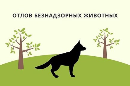                   ,      01273000081250000120001 ...