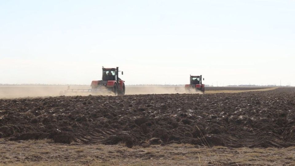 Завершился сев озимых культур в Брянской области