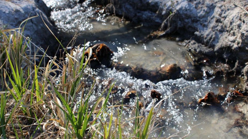 Брянский суд взыскал с МУП 49 млн рублей за загрязнение воды в Десне