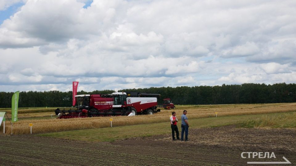 Брянская область входит в тройку лидеров по применению минеральных удобрений на гектар пашни