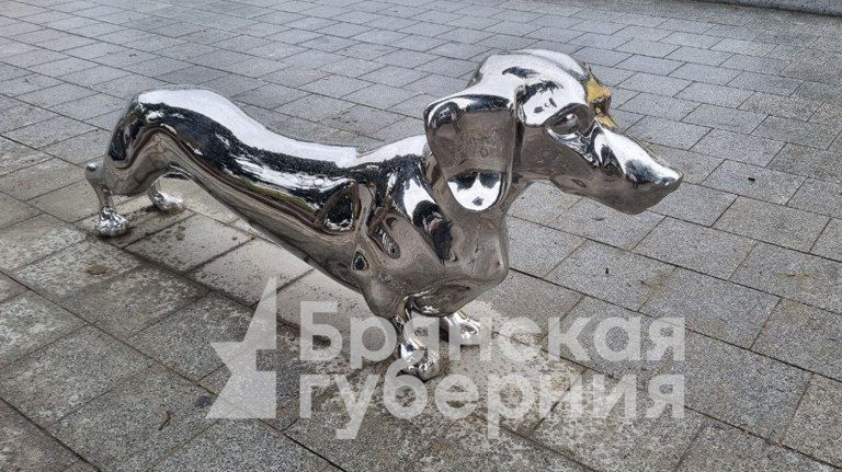 Площадь перед цирком в Брянске облюбовали Такса и Бегемот