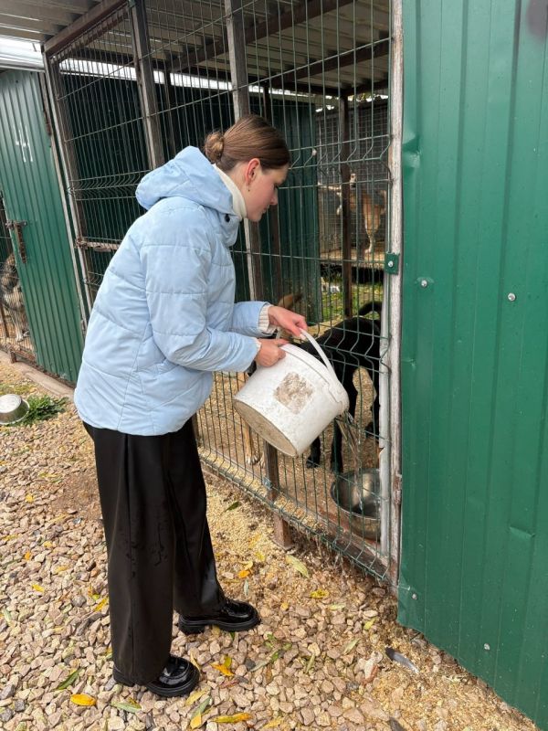 Прошлая неделя на Брянщине была объявлена «Осенней неделей добра»