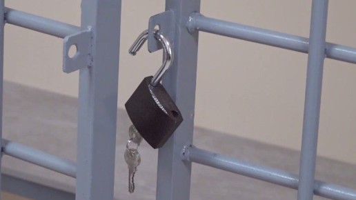 Брянского школьника, спрятавшего взрывчатку у моста, не выпустили из-под стражи