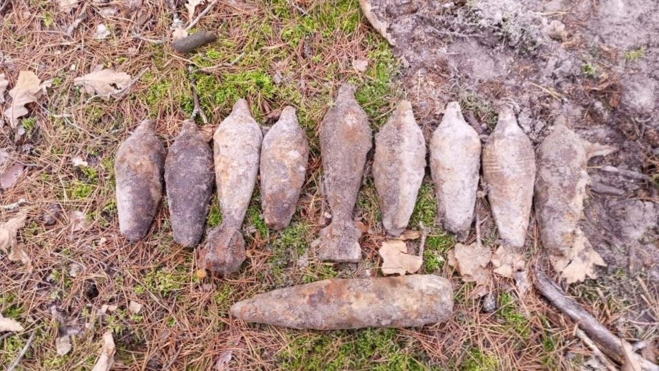 В Брянской области собрали взрывоопасный урожай из артснаряда и мин