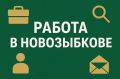 Новозыбковская городская администрация объявляет прием резюме на вакантную должность директора ООО УК «Жилье»