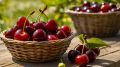 Летние радости: вкусный салат с черешней и фетой для легкого ужина