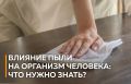 Пыль в нашем доме: незаметная угроза для здоровья