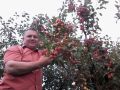 Причины популярности мифа о ржавом железе
