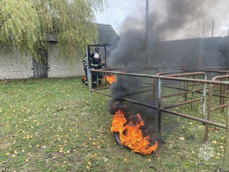 В Брасово прошла огневая полоса психологической подготовки пожарных В Брасово прошла огневая полоса психологической подготовки пожарных