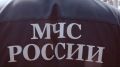 МЧС: в Брянской области за сутки потушили пять пожаров