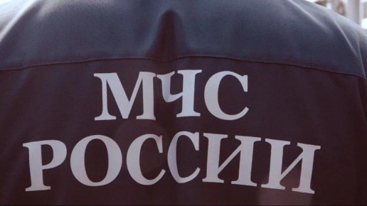 МЧС: в Брянской области за сутки потушили пять пожаров