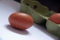 Как не выбрасывать продукты? 10 полезных привычек