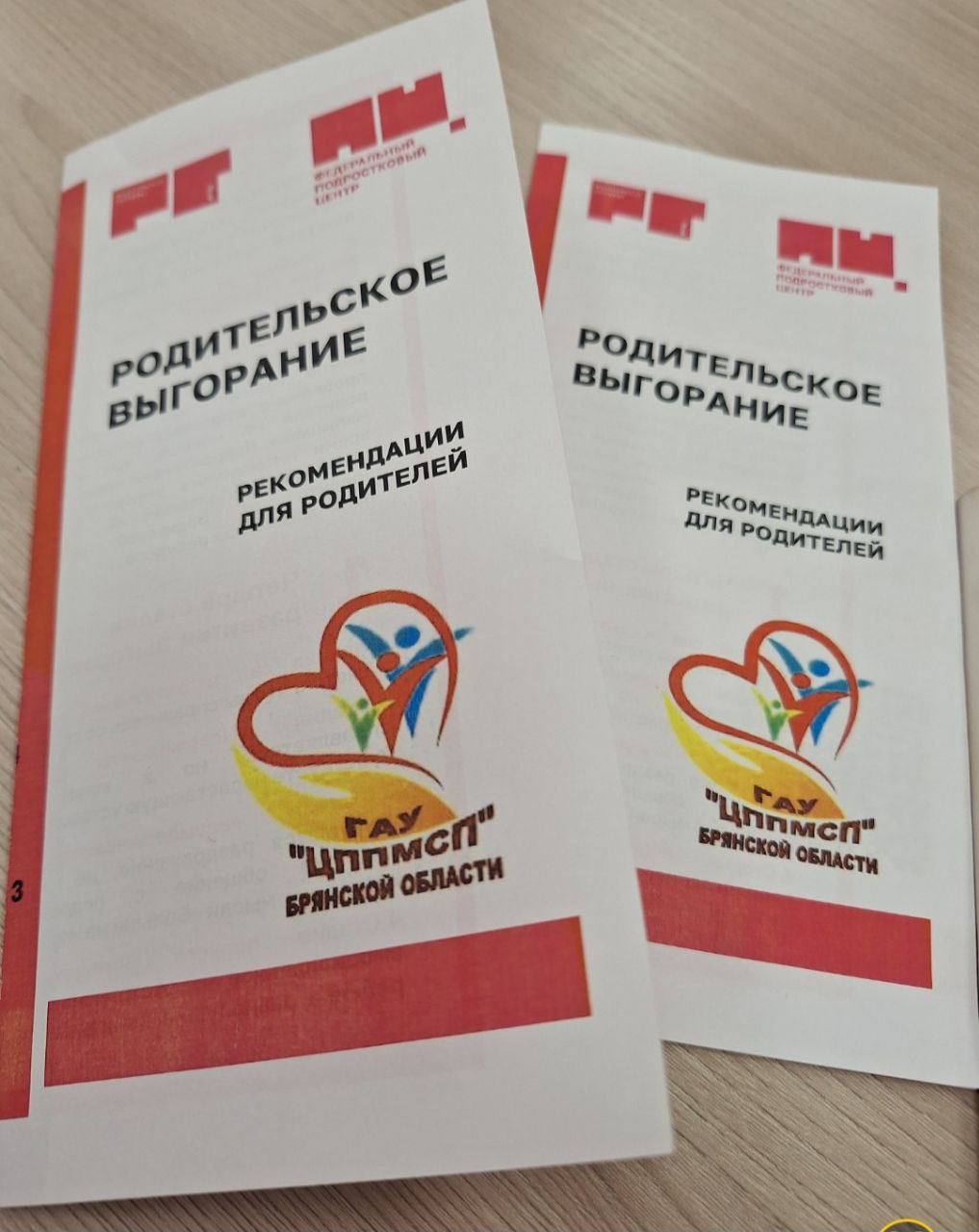 Инна Мухина: Продолжаем реализацию федерального проекта «Родительская гостиная» Инна Мухина: Продолжаем реализацию федерального проекта «Родительская гостиная»