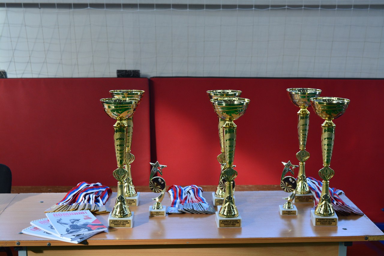 Семьи Брянского района участвовали в спортивном Фестивале Семьи Брянского района участвовали в спортивном Фестивале