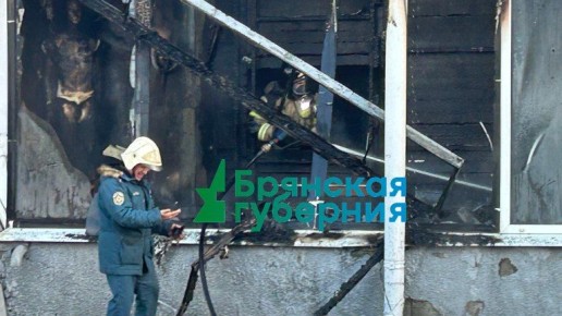 Стала известна причина поднявшегося над Брянском столба дыма