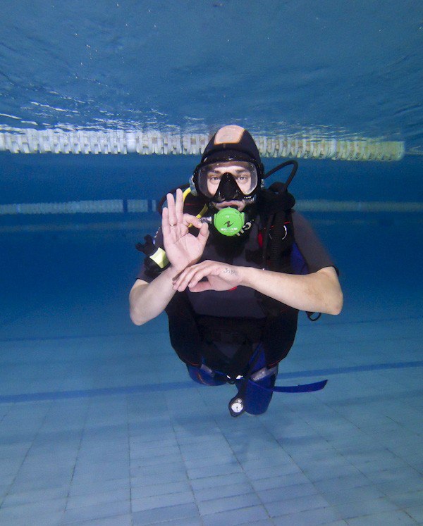 Брянскому парадайверу Сергею Кандрашову вручен международный сертификат Брянскому парадайверу Сергею Кандрашову вручен международный сертификат