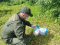 В городе Сельцо особо опасный рецидивист осужден за убийство местного жителя (ч. 1 ст. 105 УК РФ)