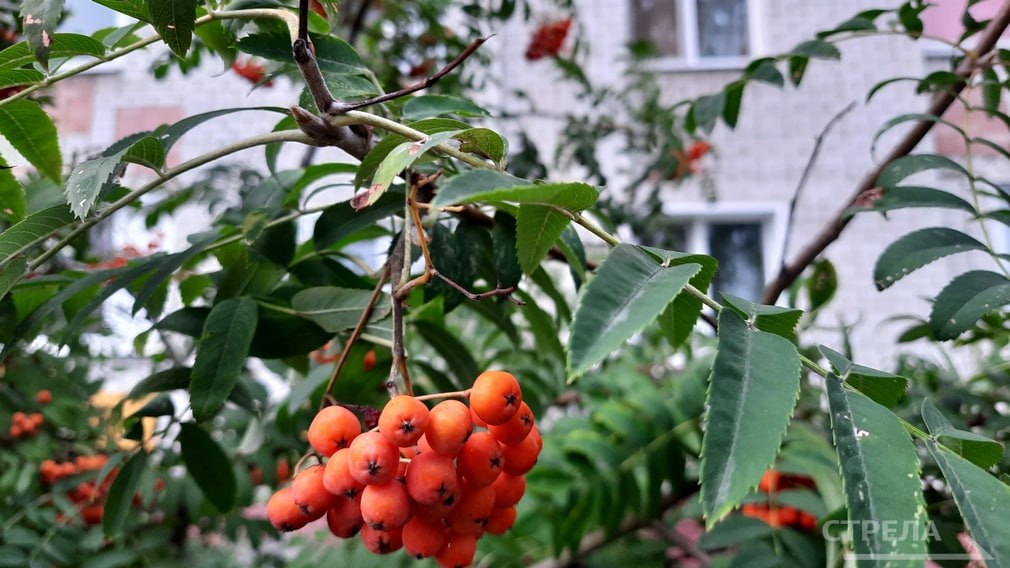 Завтра, 30 октября, на территории Брянской области будет облачно с прояснениями