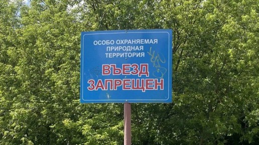С начала года в Брянской области ущерб от экологических преступлений составил 4 млн рублей