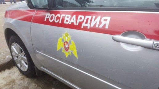 В Брянской области росгвардейцы поймали 800 преступников