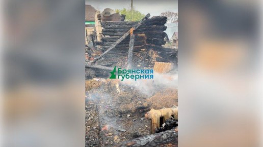 Огонь уничтожил всё: опубликованы кадры последствий удара БПЛА, убившего мать двоих детей